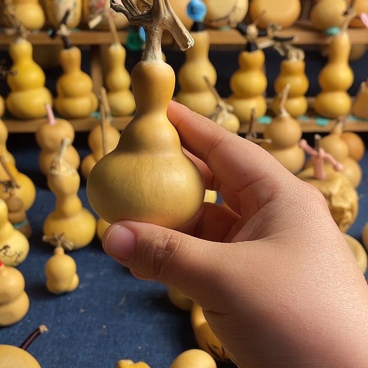 惊***蛰111111111111111111111