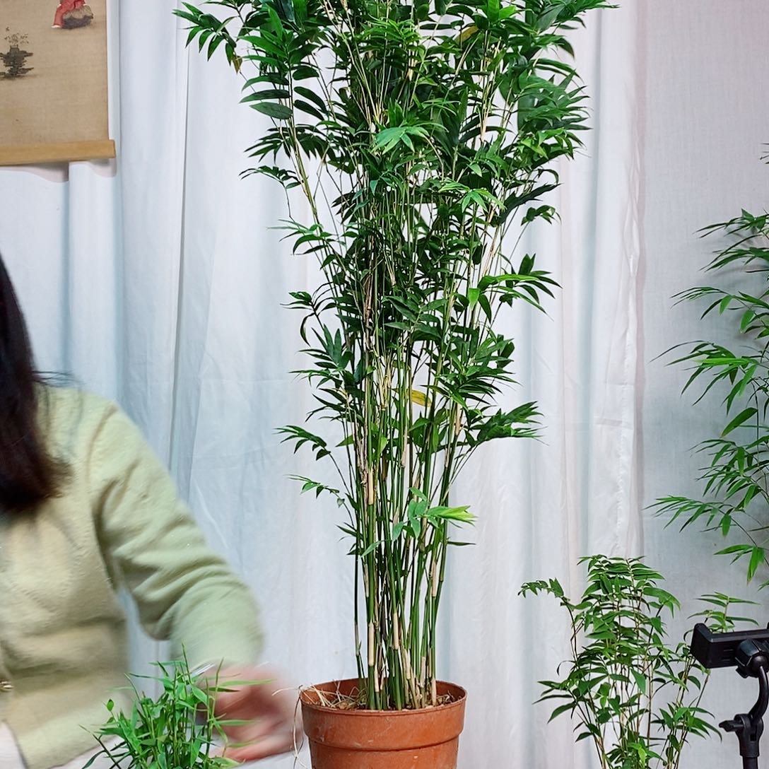 完全开放 558878888