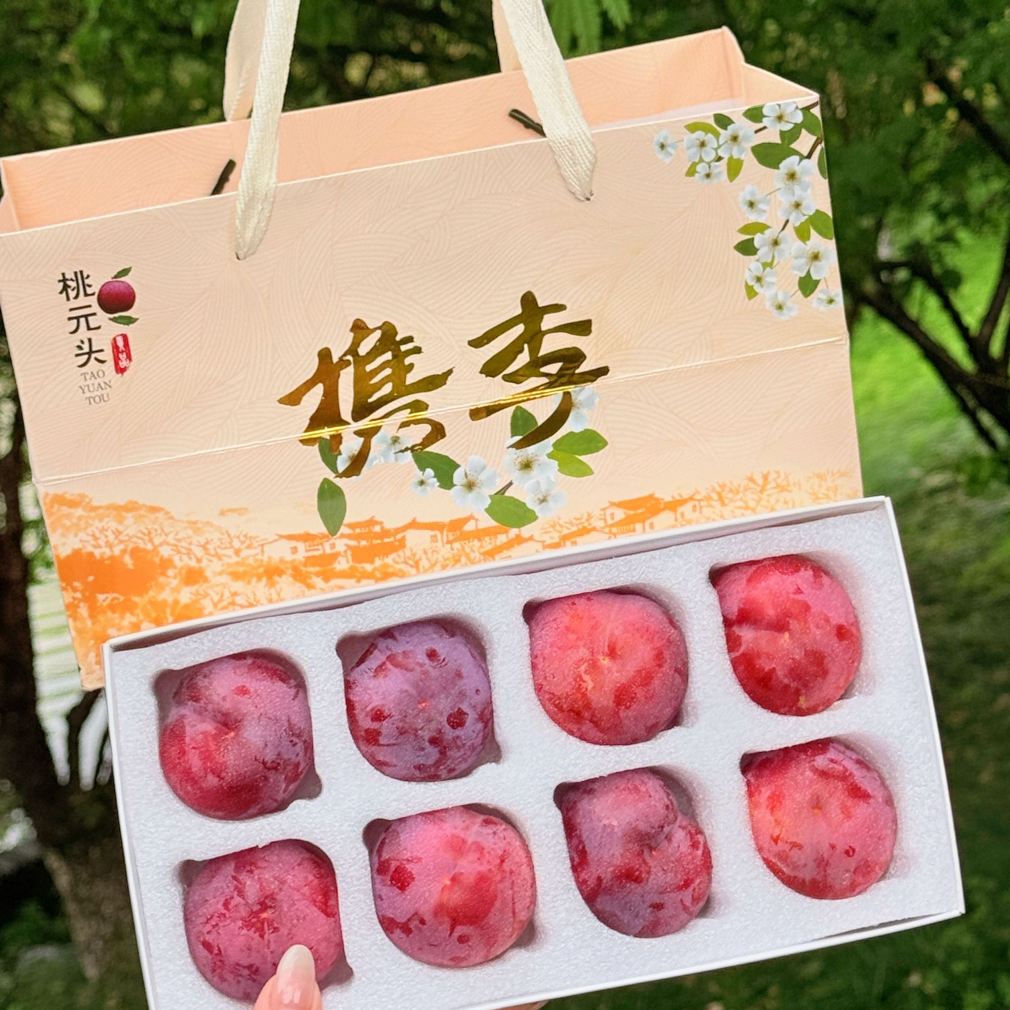 【盛姐专属 送礼！礼盒装！】顺丰包邮正宗桃园槜李名果醉李桐乡桃园村新鲜采摘原产地直发水果浙江省