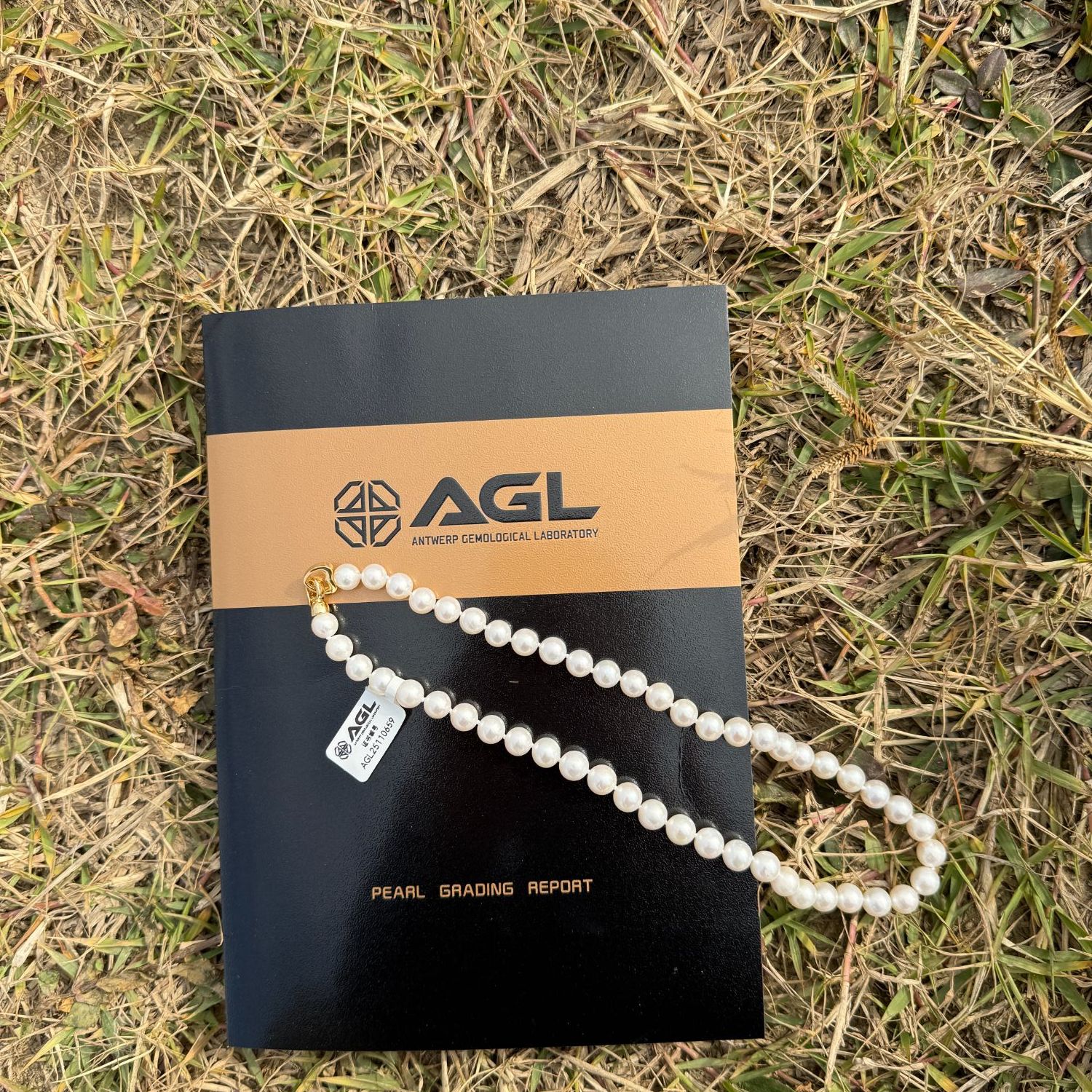 【五星升级大证】淡水无核 非常强极光 7.3-8.3mm 西子项链AGL证书