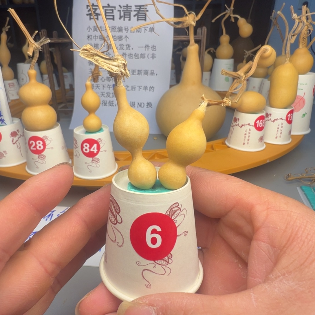 闪电购自助下单编号06