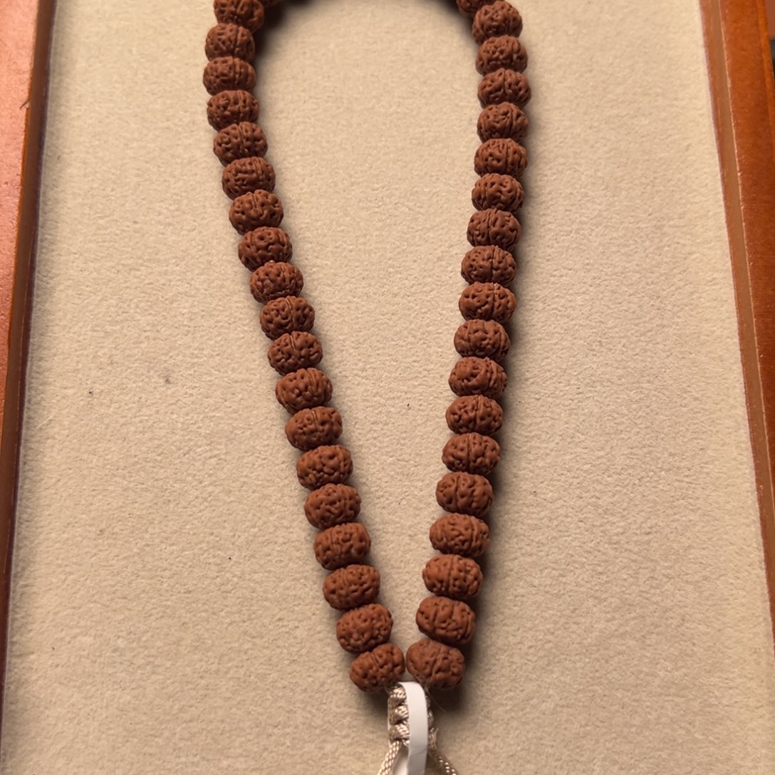 大***卷菩提籽类9999999999