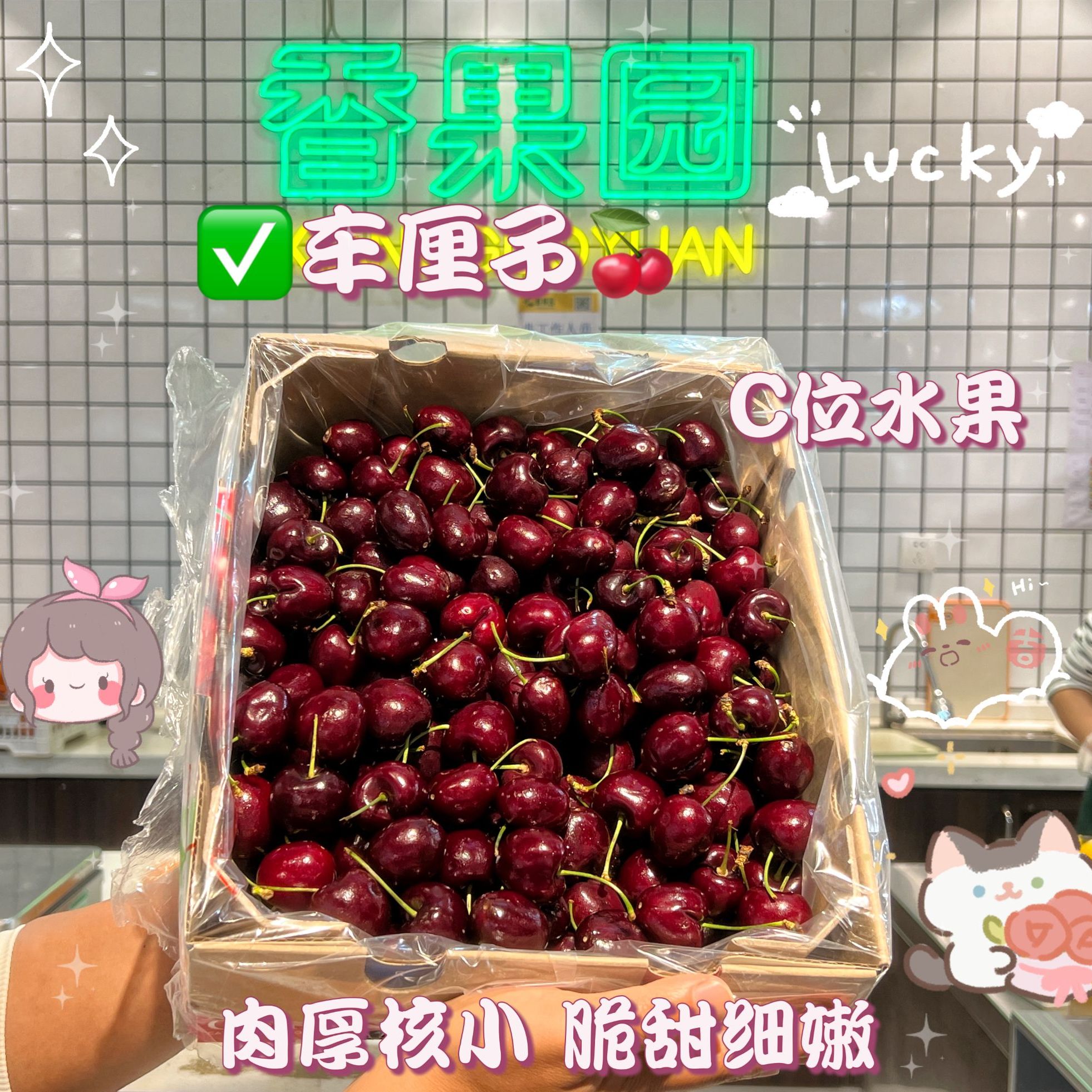 【桑提娜车厘子】XL-4J智利海运车厘子 500g-1000g  内附果径卡桑提娜智利