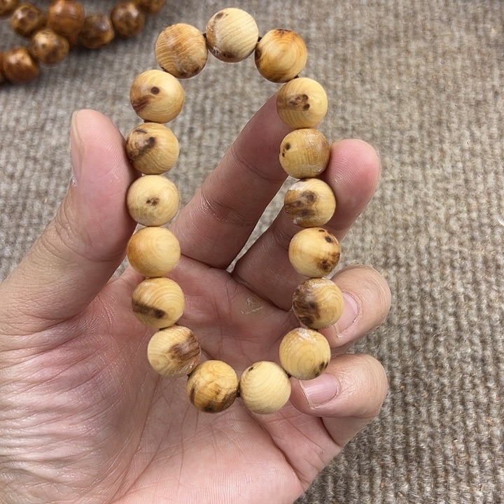 木太行崖柏1.2。。。。。。