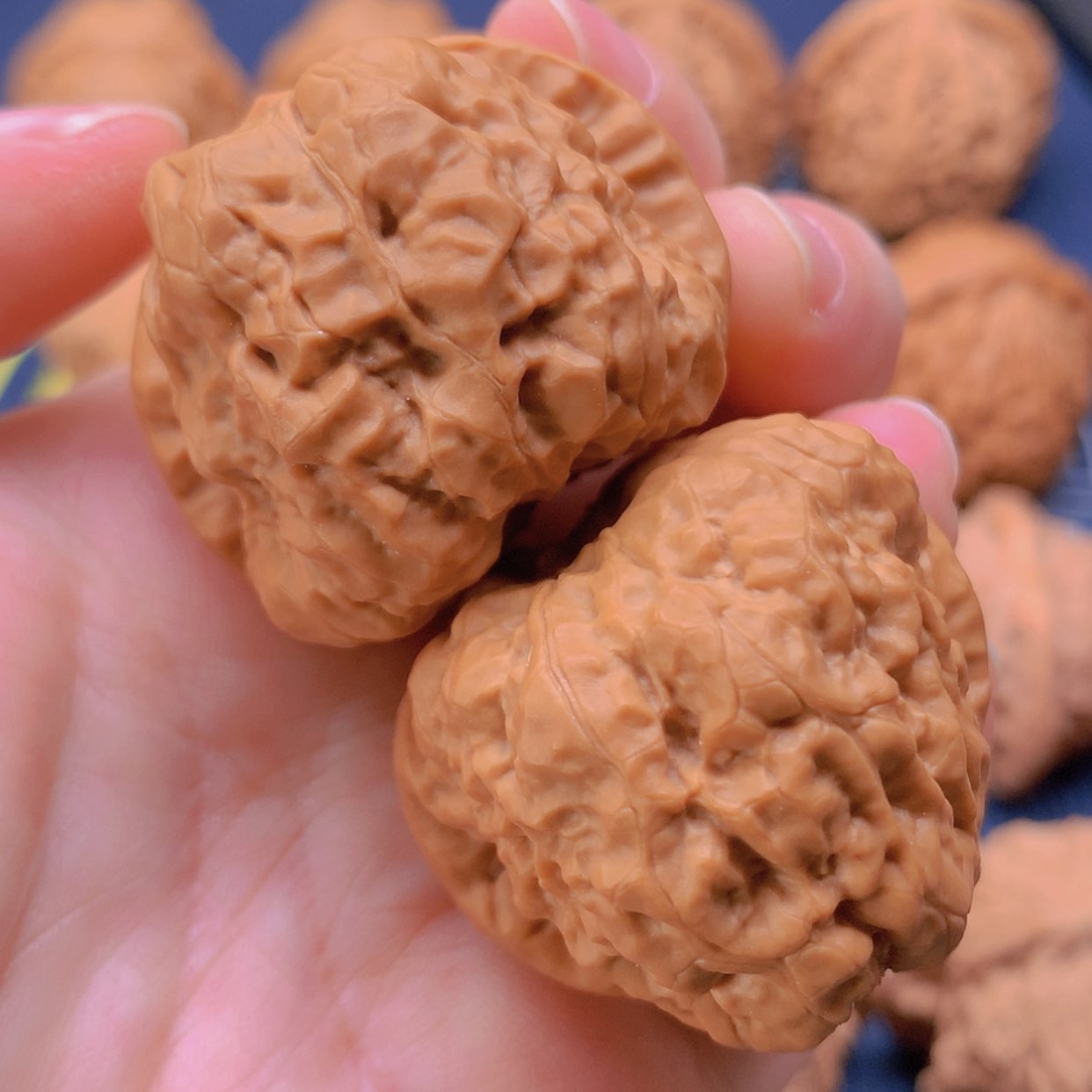 【闪购商品】文玩核桃把件蛤蟆头37