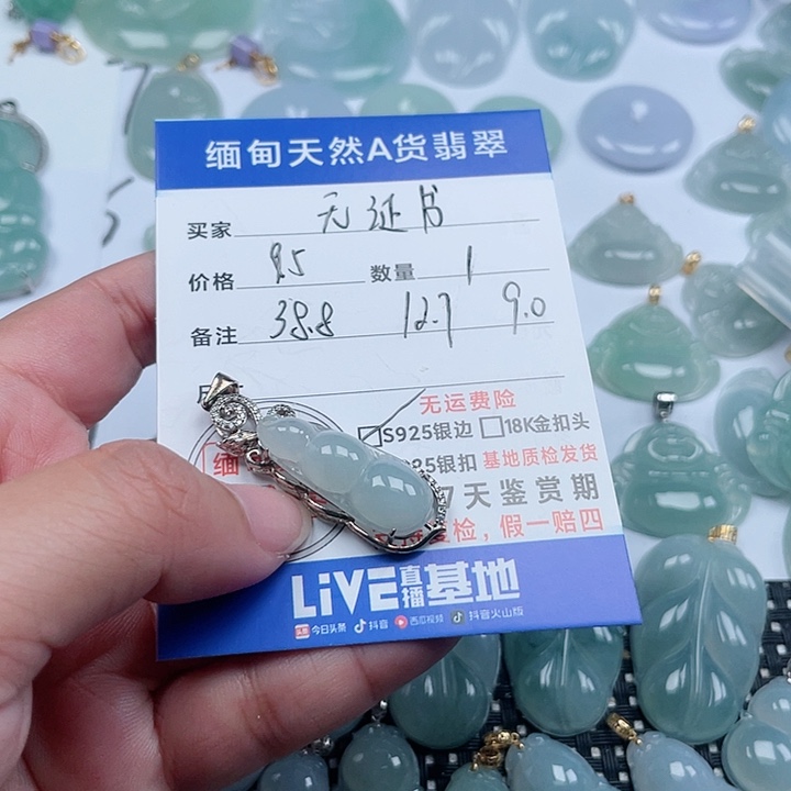 翡翠颈饰银S925镶嵌天然翡翠吊坠