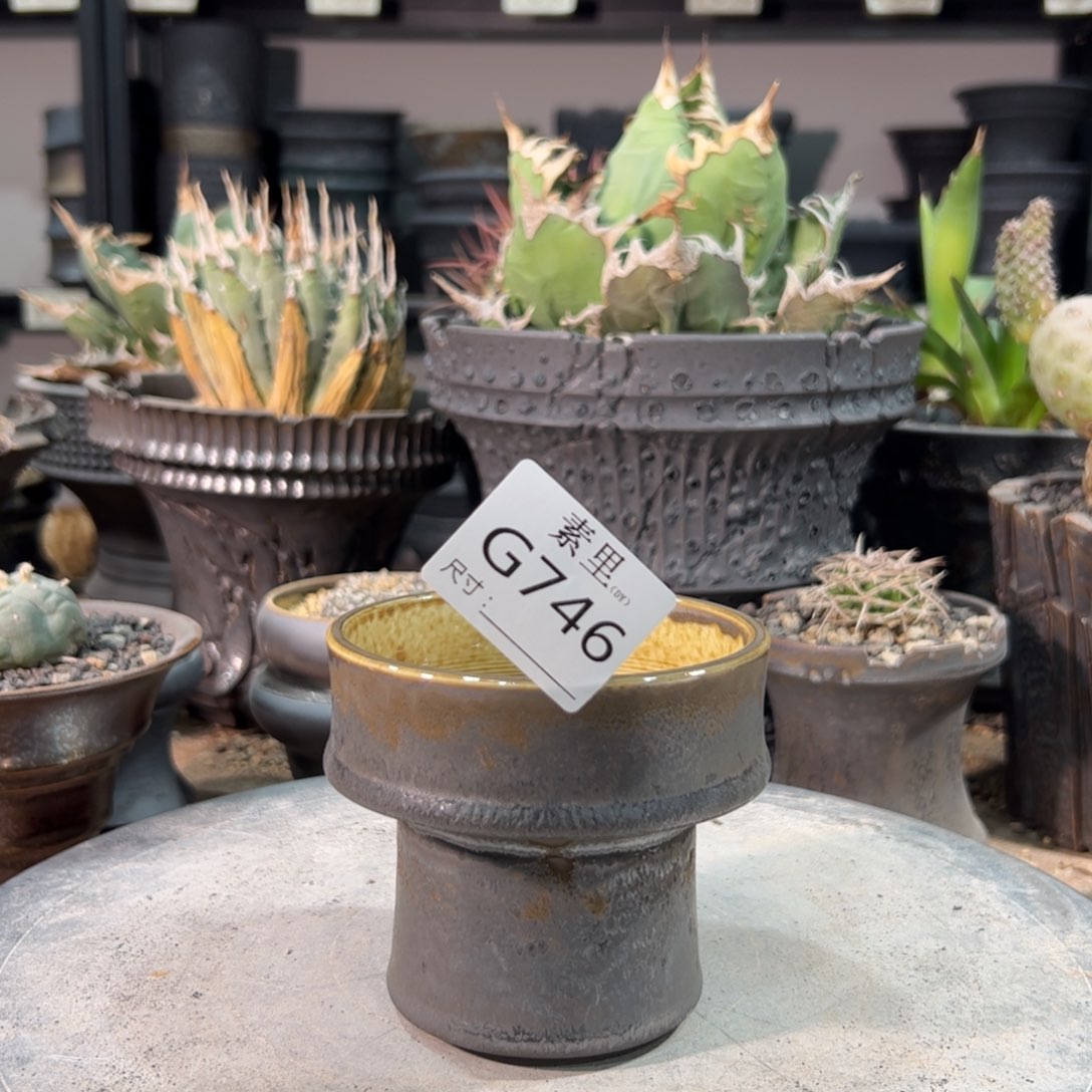 景德镇素里手工内口9高8.5