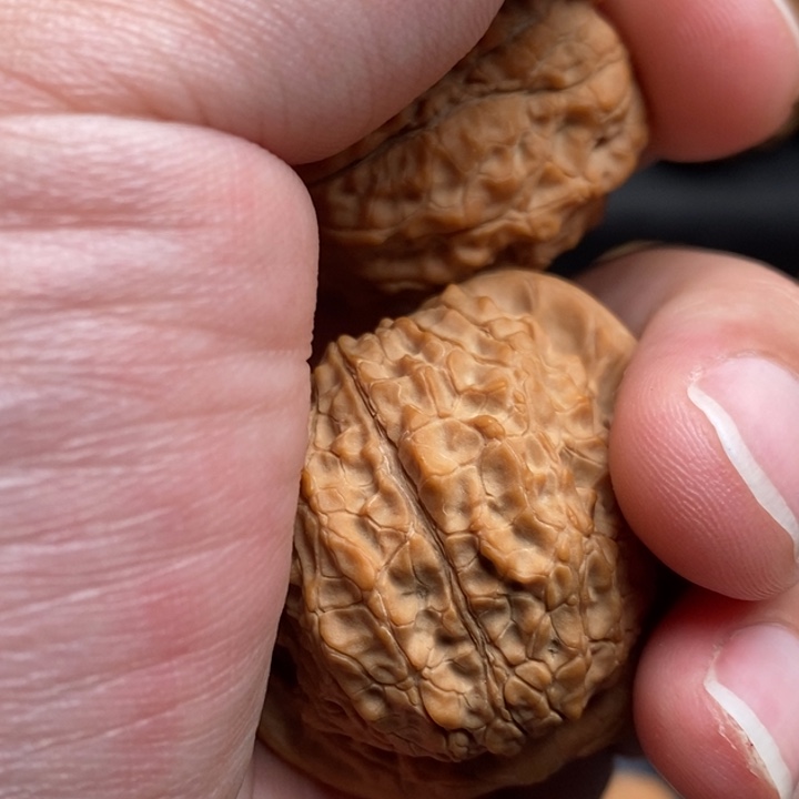 文玩核桃把件梦****媚原树血麒麟