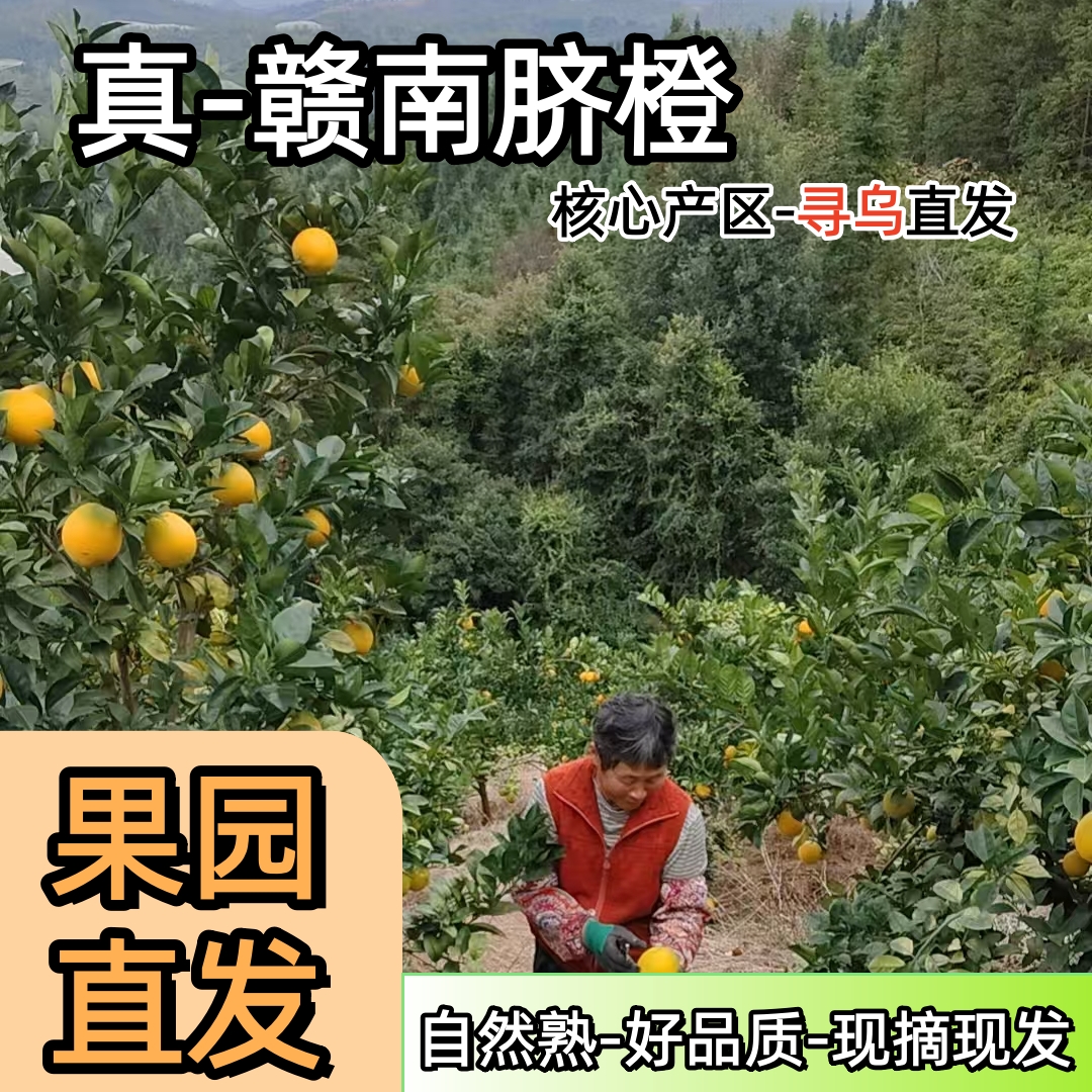 正宗江西赣南脐橙10斤包邮赣州寻乌甜橙子当季新鲜孕妇水果手剥橙