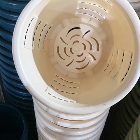 树脂测3号5个无托米黄