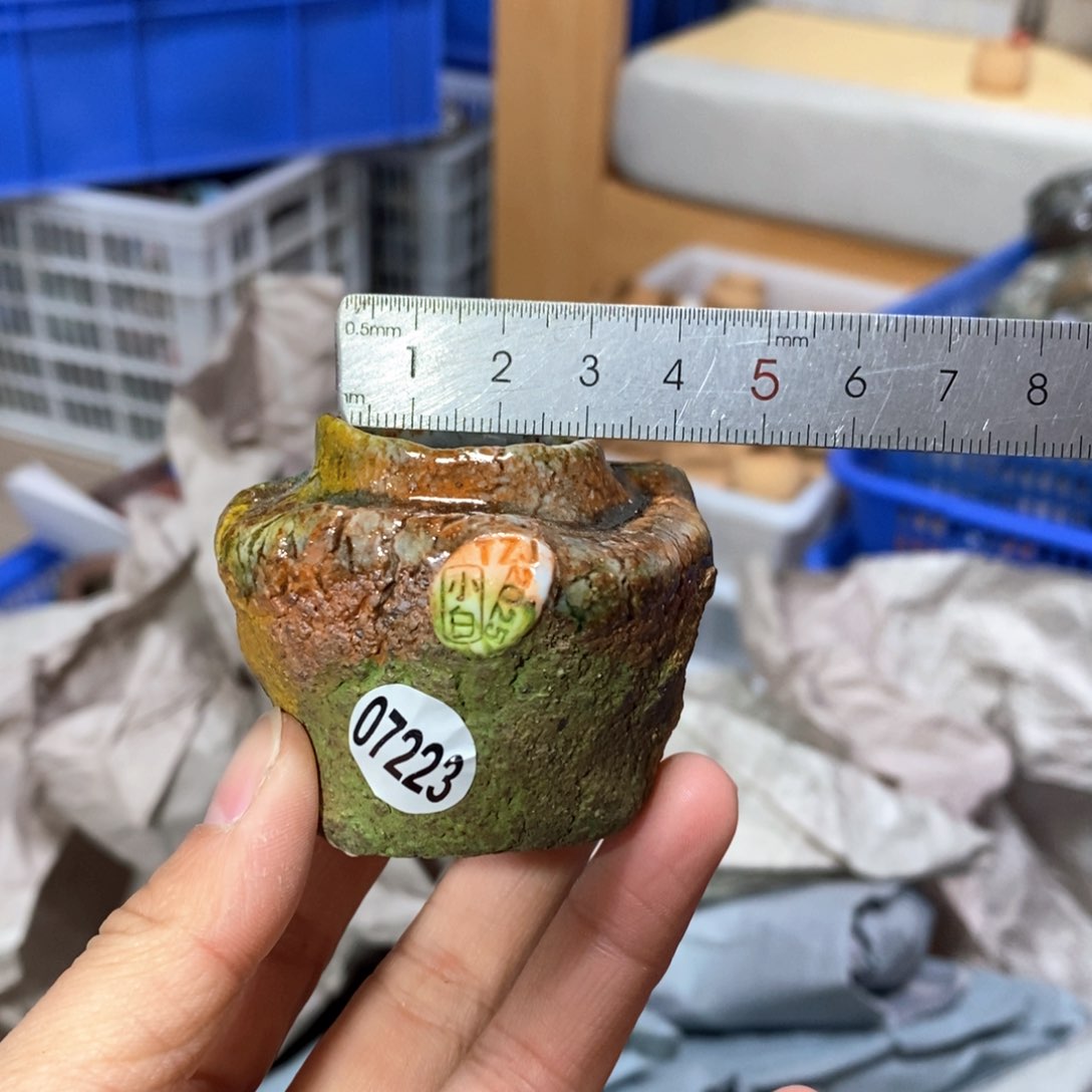 花盆拍3送一个小礼物