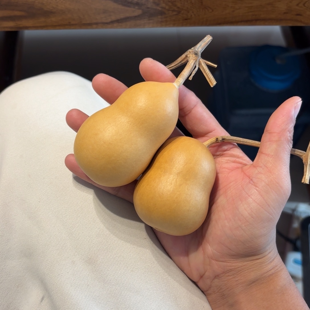 黎***捷葫芦88888888888888888