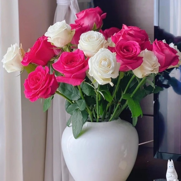 【绝美配色】弗洛伊德白雪山单头玫瑰  香味浓郁 玫瑰鲜花 