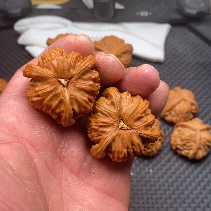 核桃把件财****拼接白狮子10