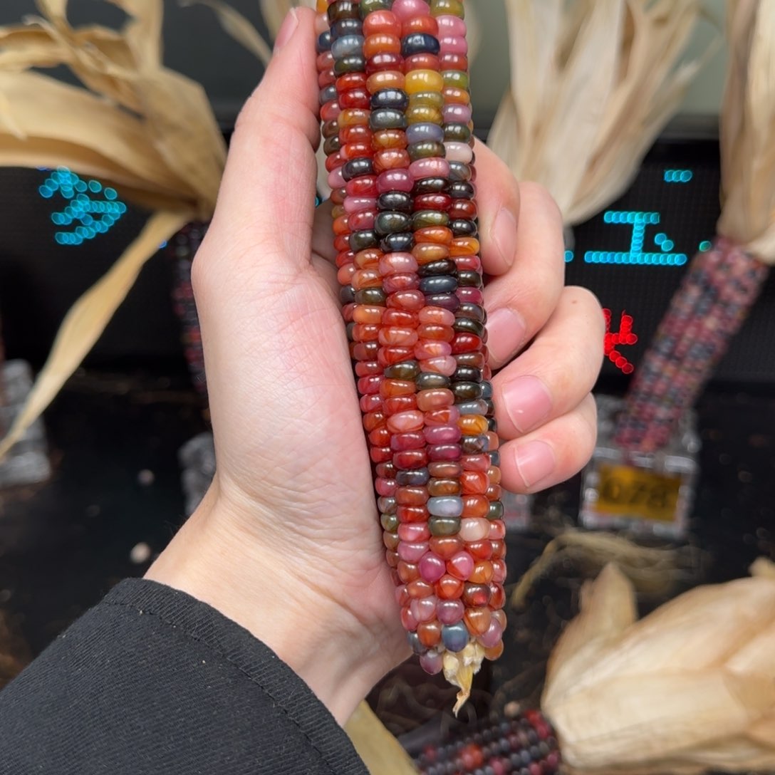 柏香籽/百香籽吊坠雨**步