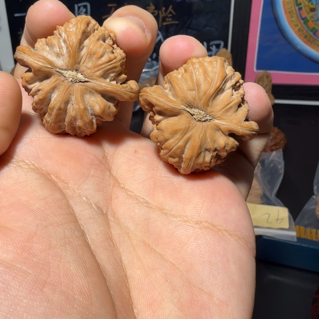 把件文玩核桃白狮子