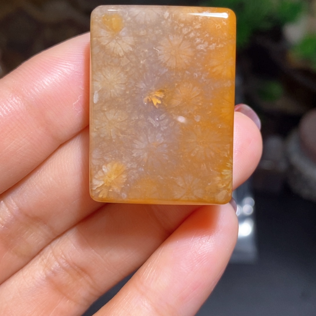 【闪购商品】硅化玉颈饰未镶嵌