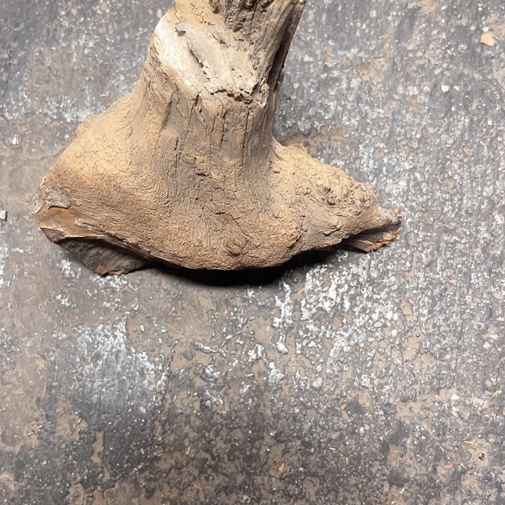 顺***蜜柏木料111111111111