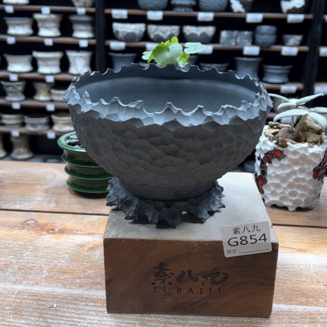 素八九陶瓷内口16.5高12