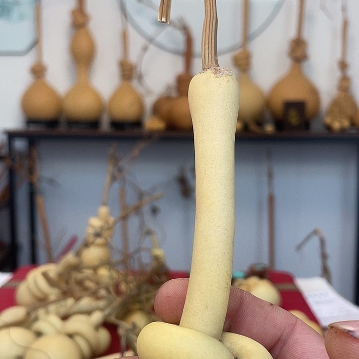 大叶紫檀（黑酸枝木类）风*