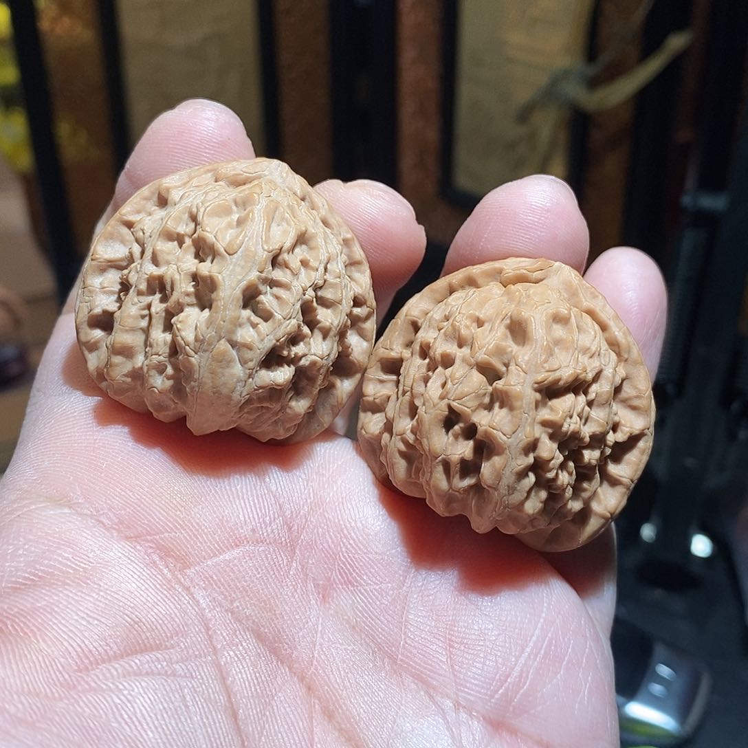 文玩核桃把件39三角白全品