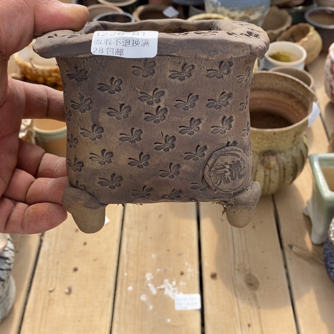 初***见81号花盆福利啦啦啦