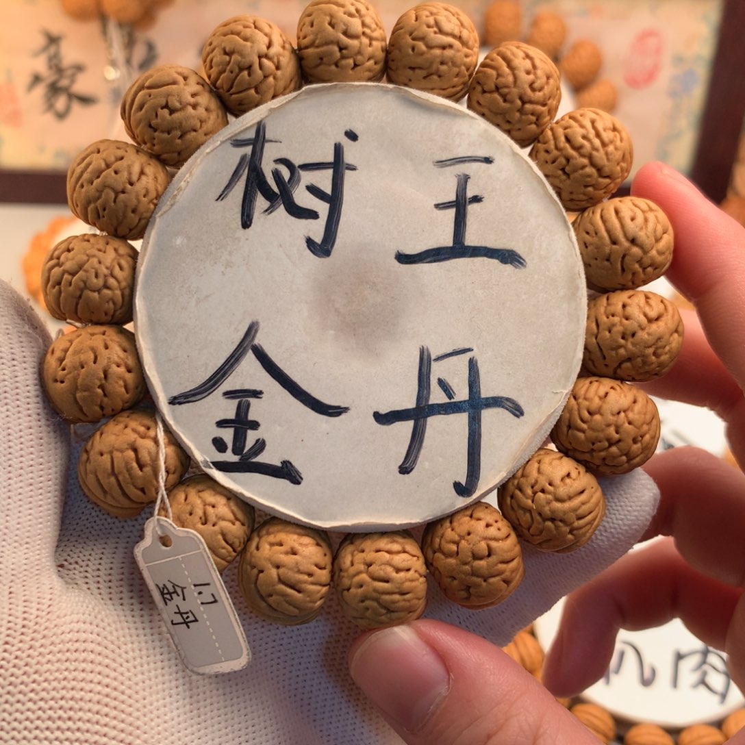 桃核手串树王金丹