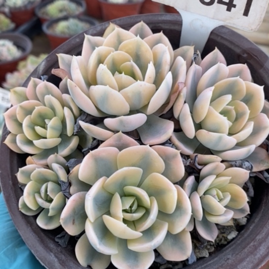 841一一一一一一一一一