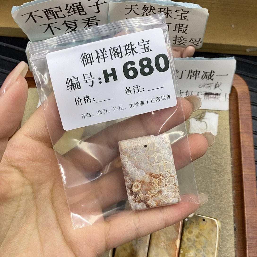 硅化珊瑚（珊瑚玉）未镶嵌颈饰R*A