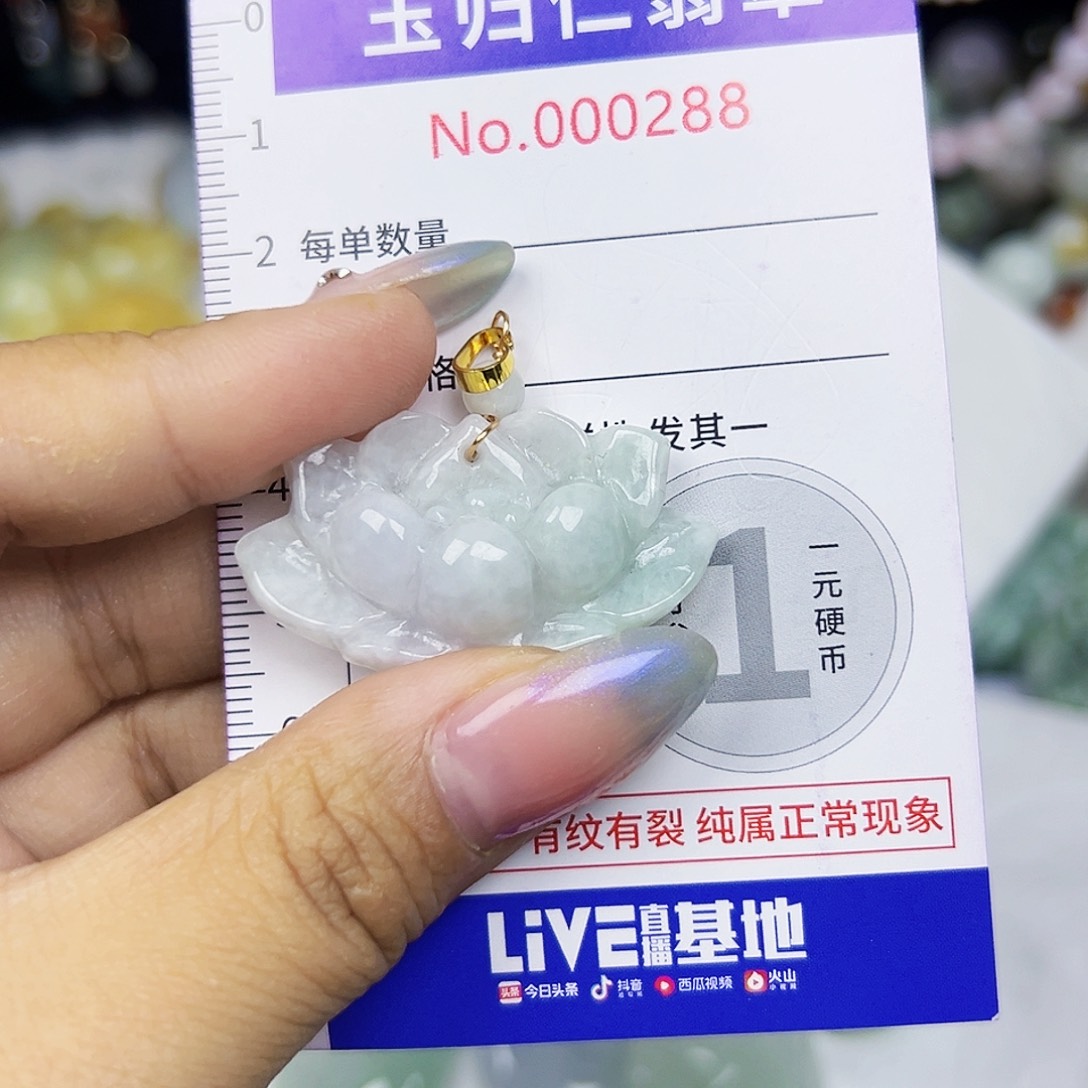 翡翠未镶嵌颈饰1111