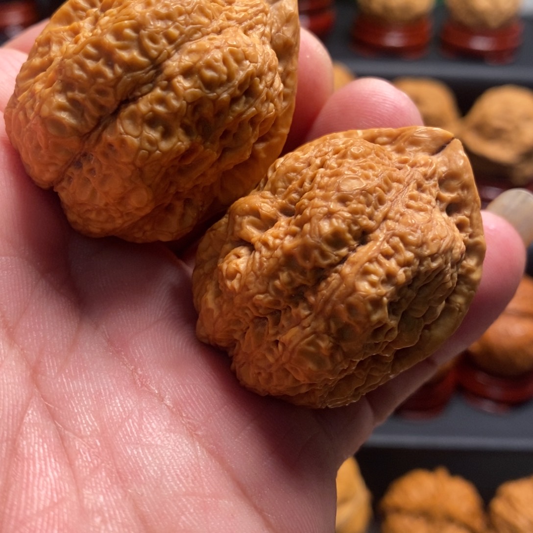 吊坠文玩核桃龙脊蟾王42尺