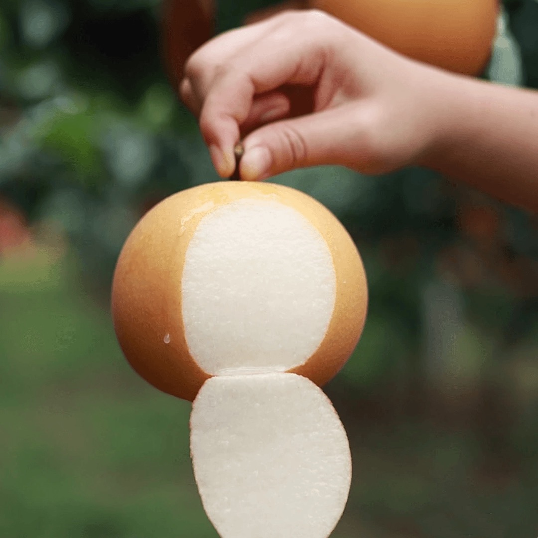 当季限定秋月梨8颗礼盒装 净重约8斤【京东包坏果包赔 】