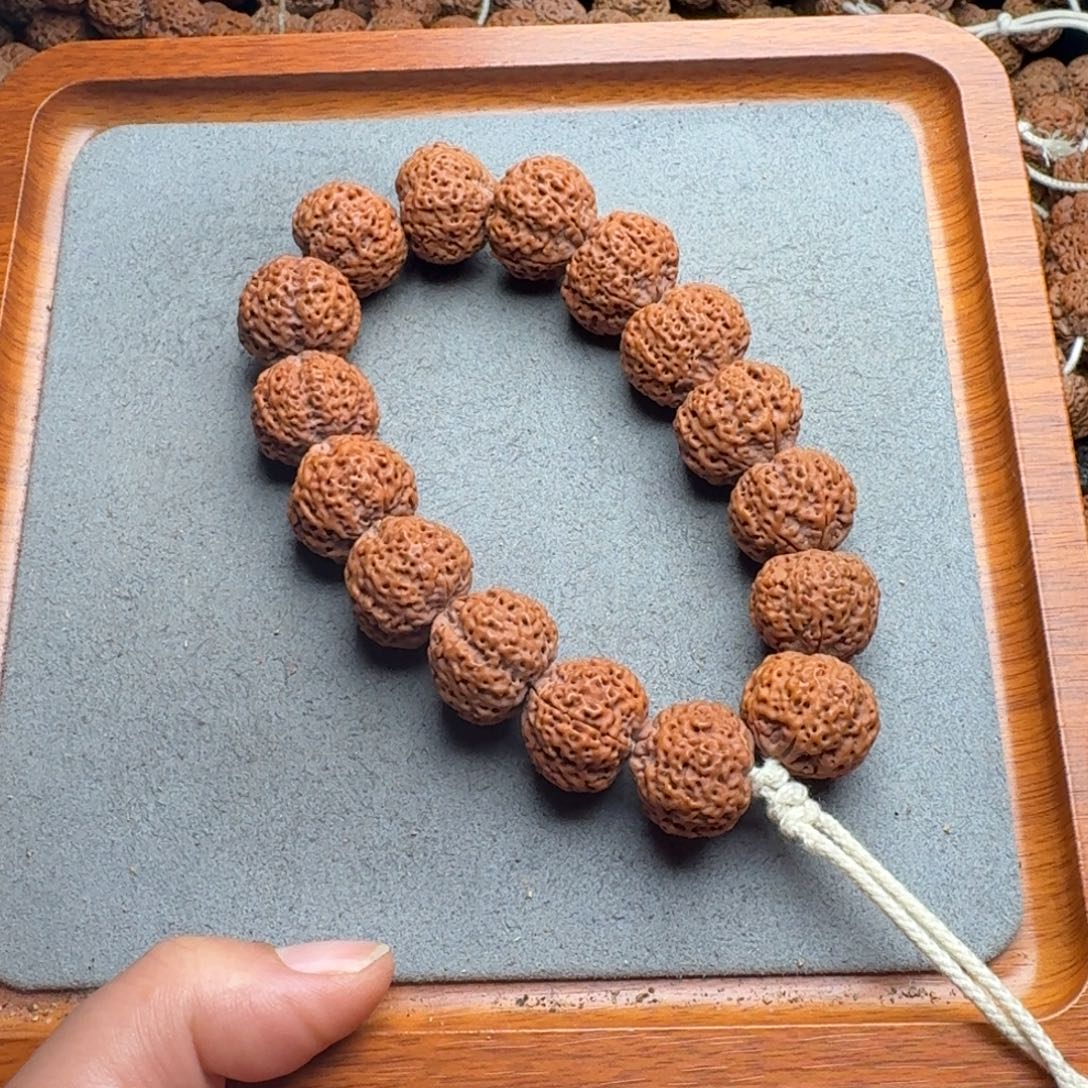 菩提菩提7号尼泊尔大金刚20蜂王菠萝蜜