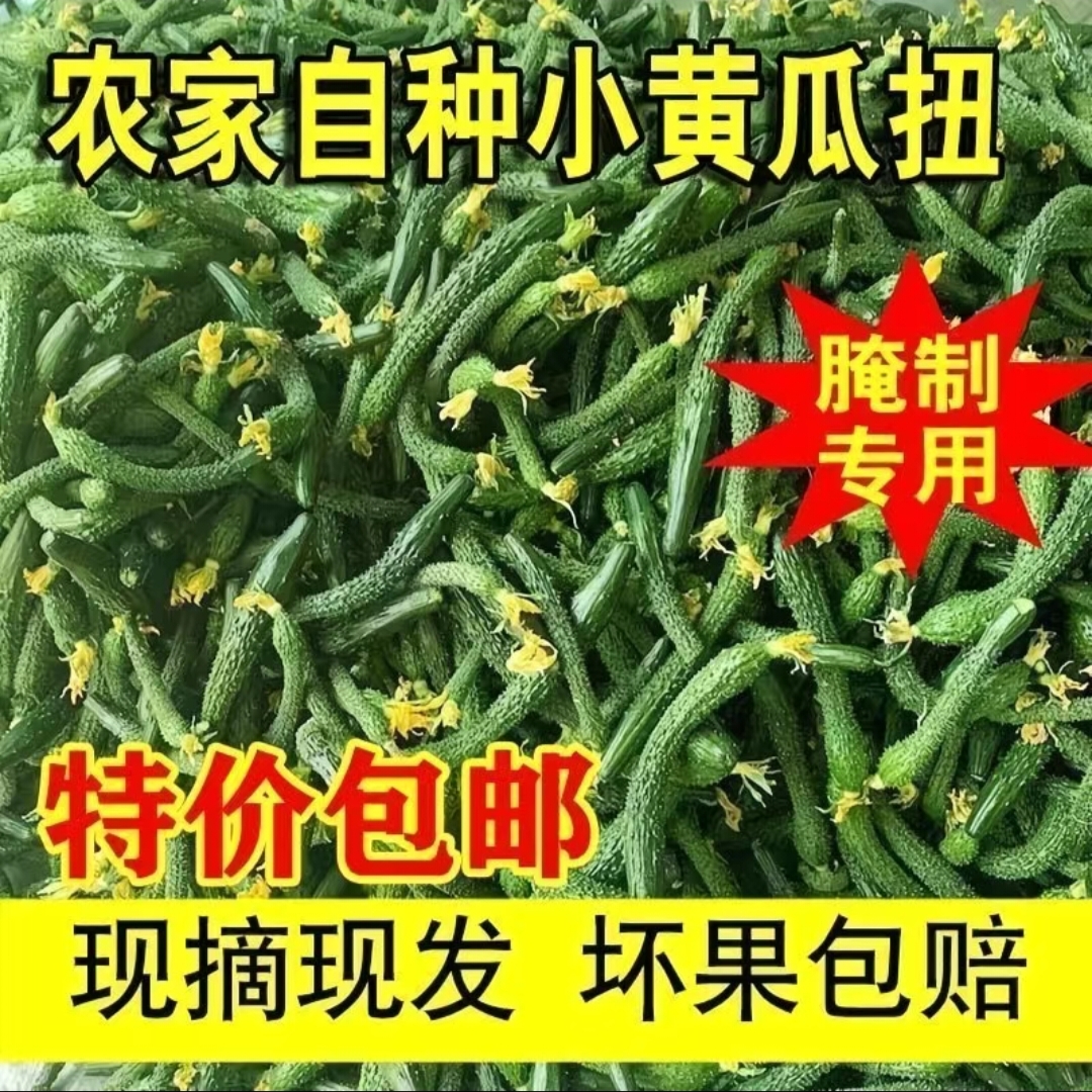 【新鲜脆嫩】小黄瓜扭手工腌制酱菜专用新鲜小黄瓜乳瓜 介意者勿拍