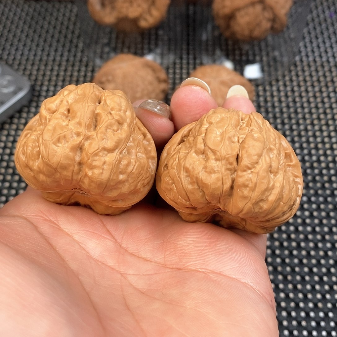 文玩核桃把件40尺蛙