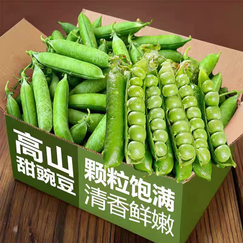 现摘云南新鲜水果甜豌豆荚青豆带壳豌豆高山露天农家自种当季蔬菜