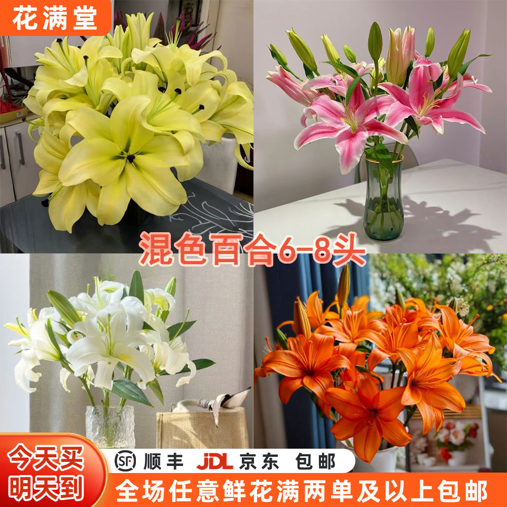 特价【次日达·混色香水百合】混色百合6-8头·全场两单鲜花顺丰包邮·基地直发·批发·家居花DIY·次日达单品