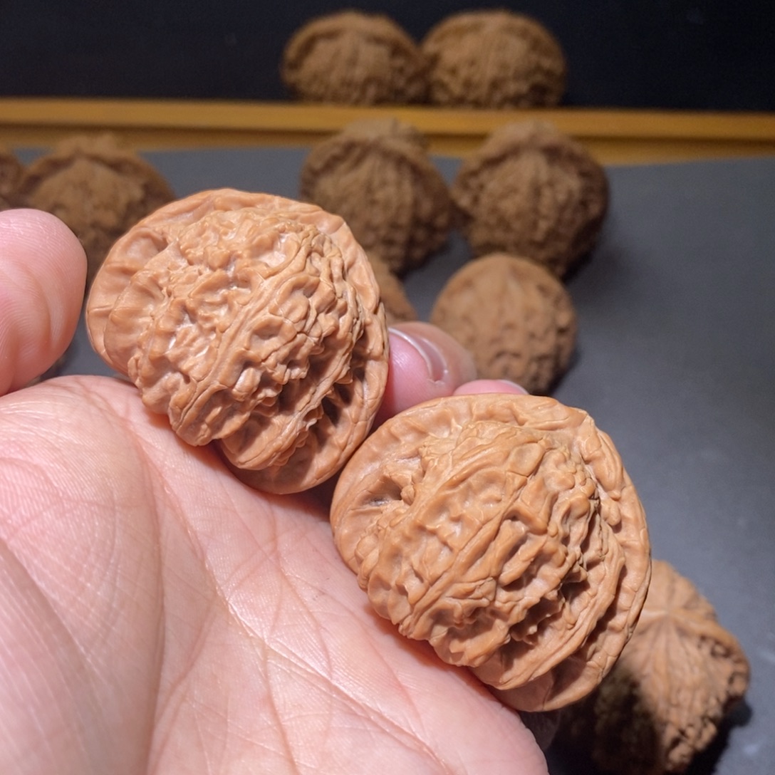 核桃42山西三角白全品