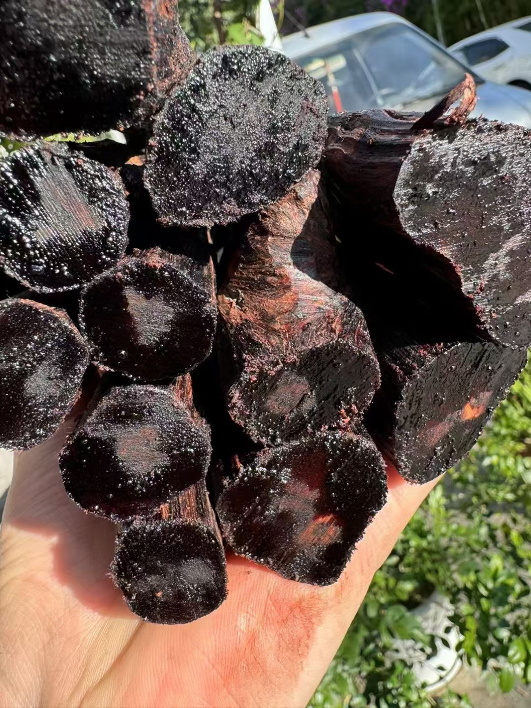 缅甸小叶降真香黄油全熟原料