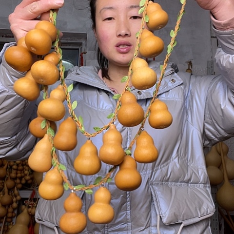 天然植物葫芦文玩