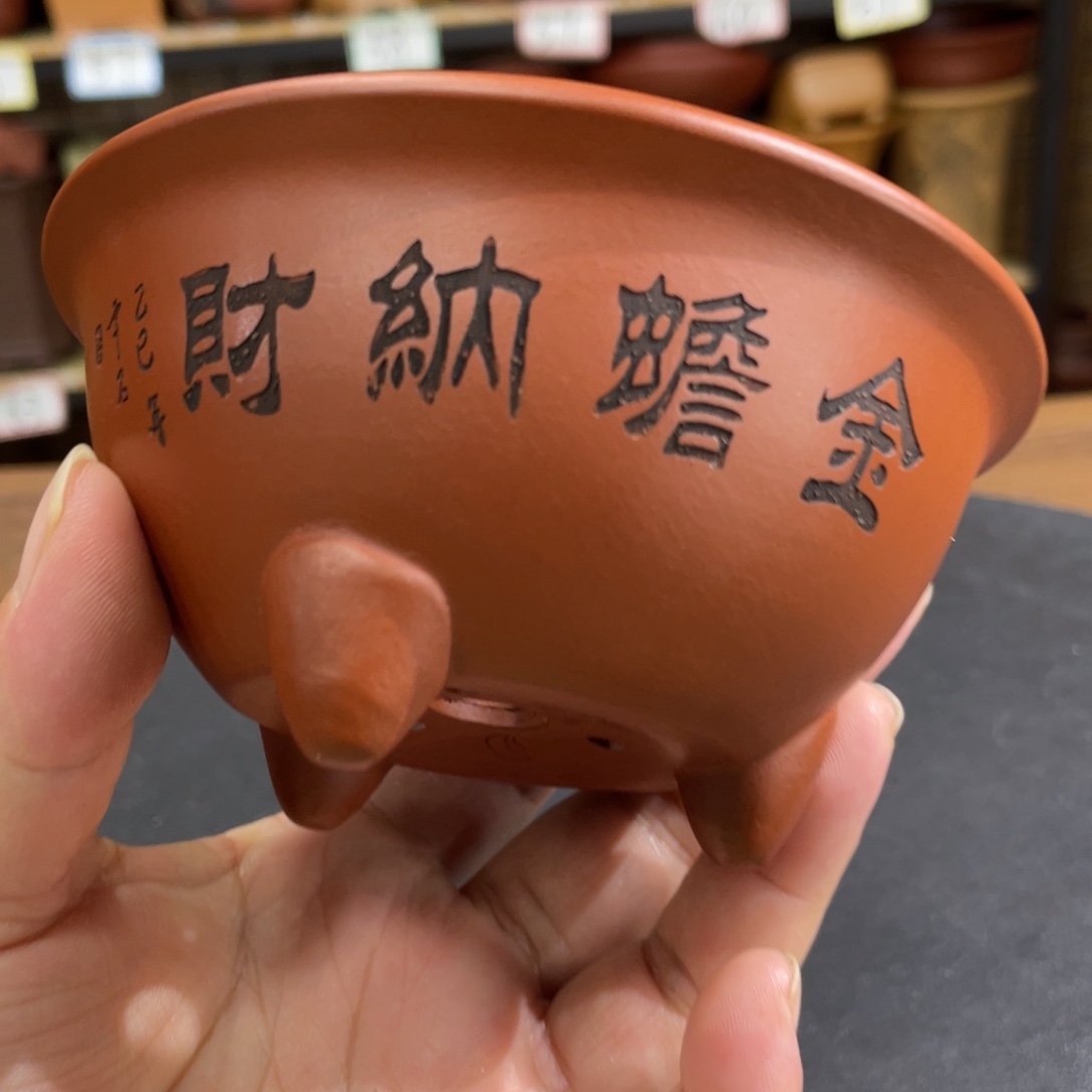 紫砂花盆紫砂花盆在这里