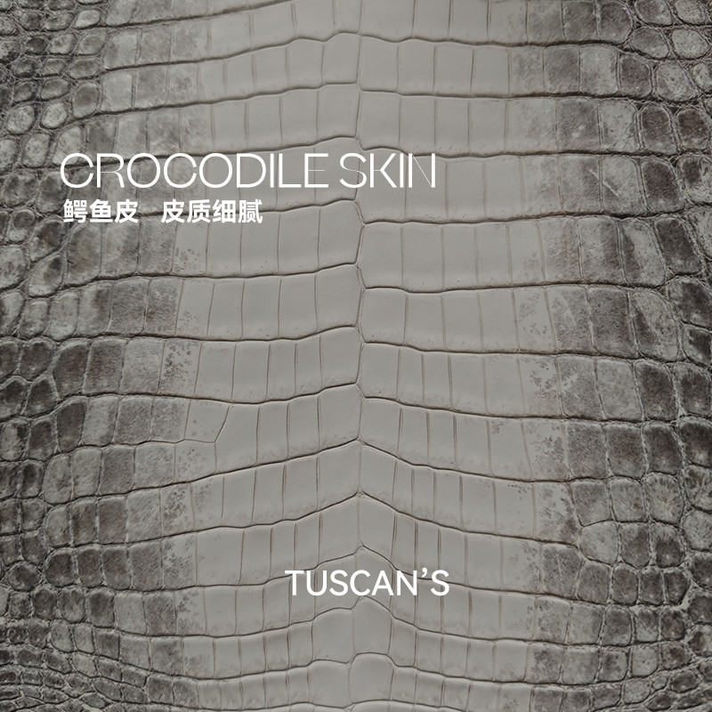 TUSCAN'S【JS】轻奢复古鳄鱼皮气质链条包单肩斜挎女包