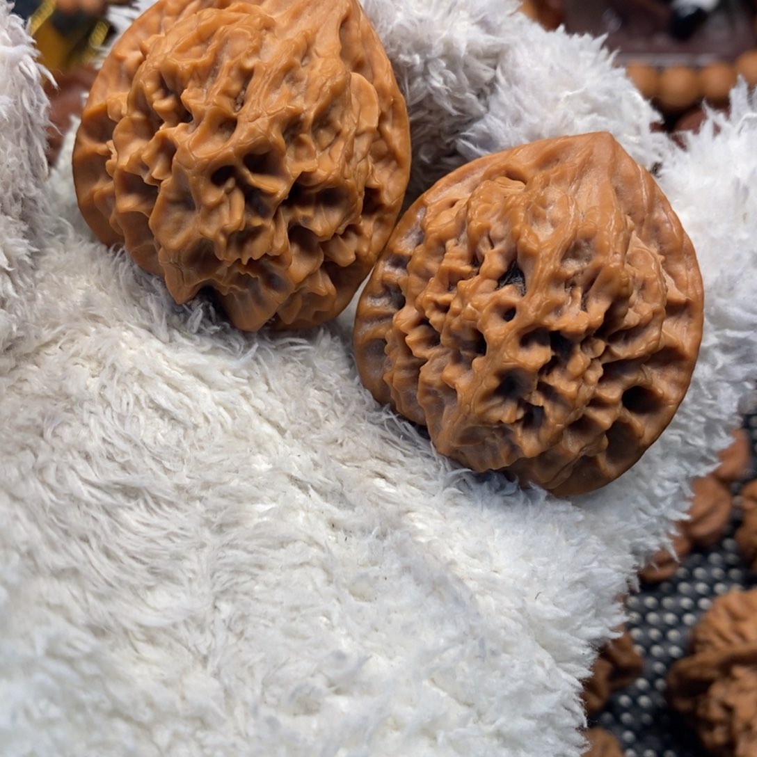 鱼***秦岭山地核桃龙鳞官帽