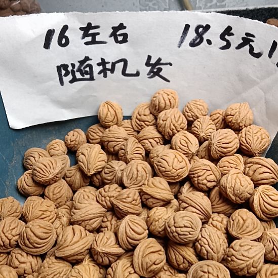 桃核吊坠霸王龙16+左右18.5元一斤随机发