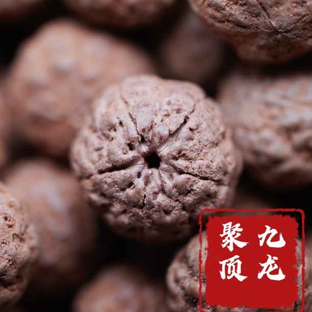 云端·“九龙聚顶”五星跳跳龙小金刚单圈