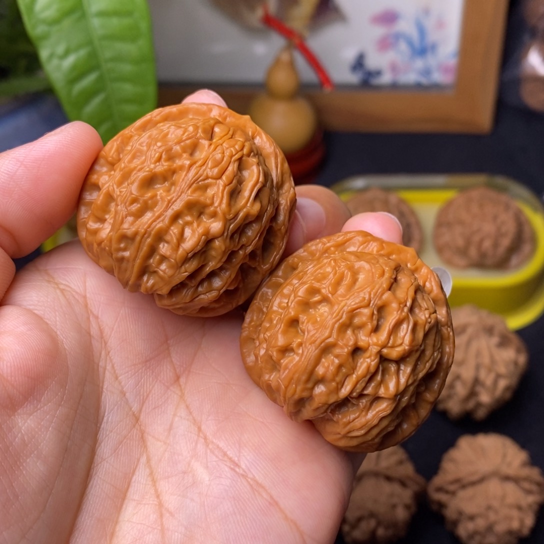 文玩核桃把件37全家福龙胆