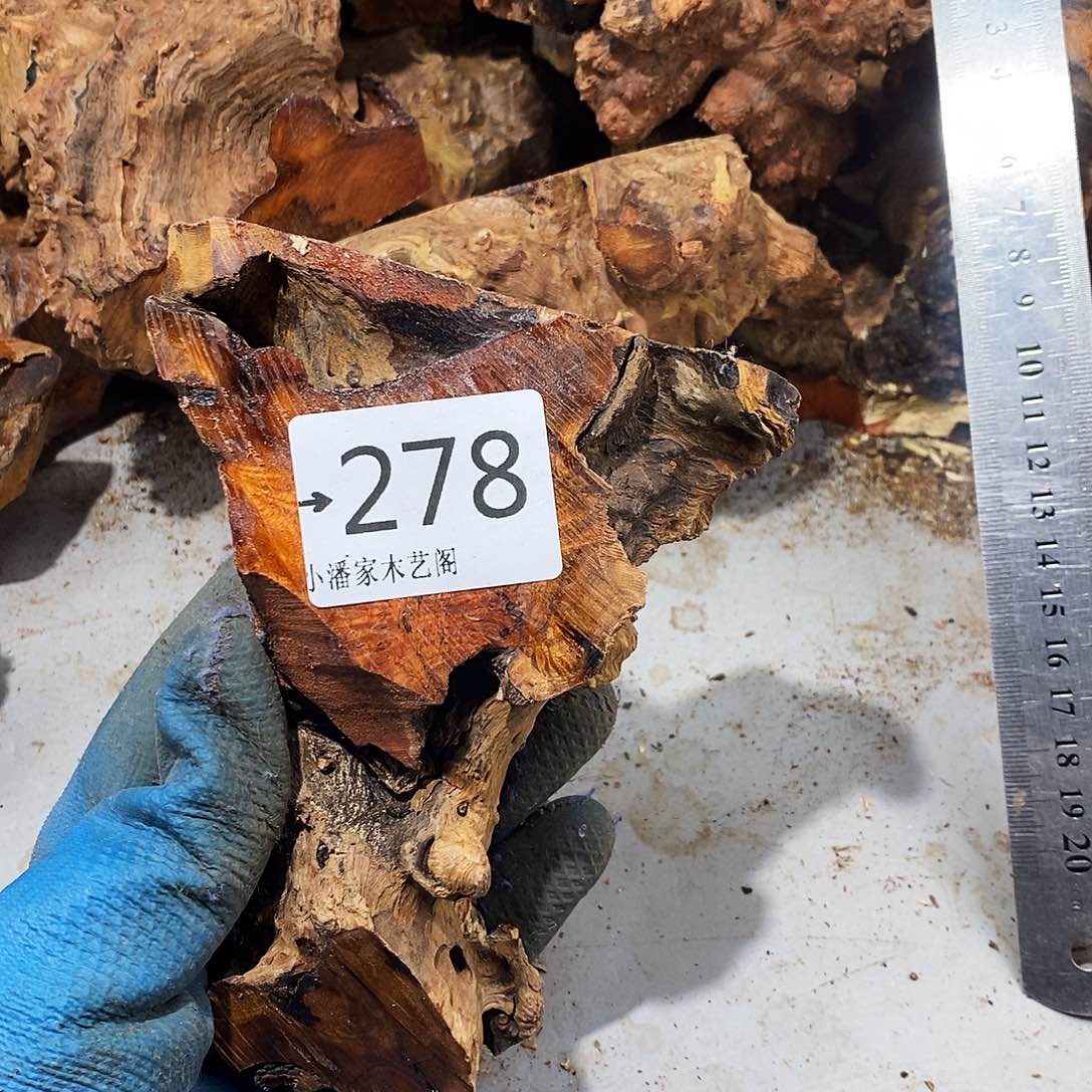 香榧木不***机火琉璃……火琉璃