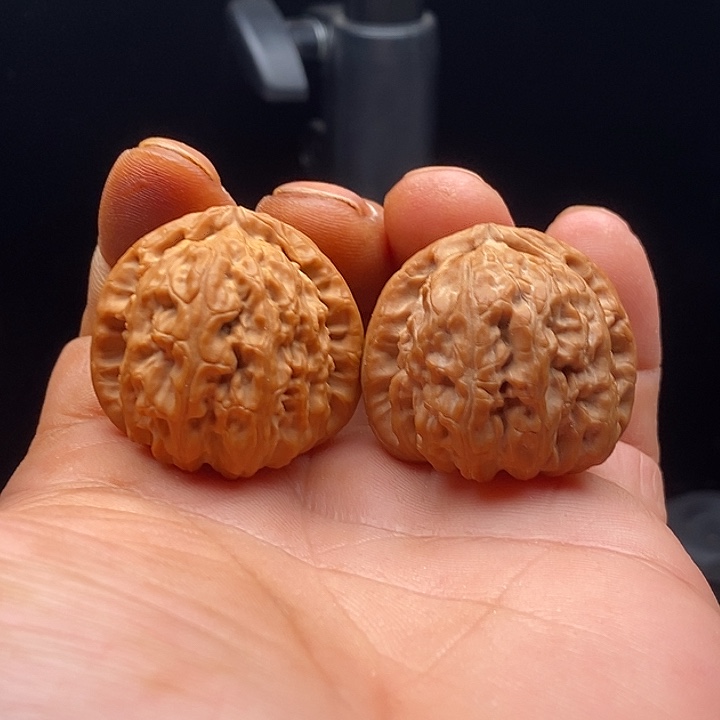 把件文玩核桃35尺三角白狮子