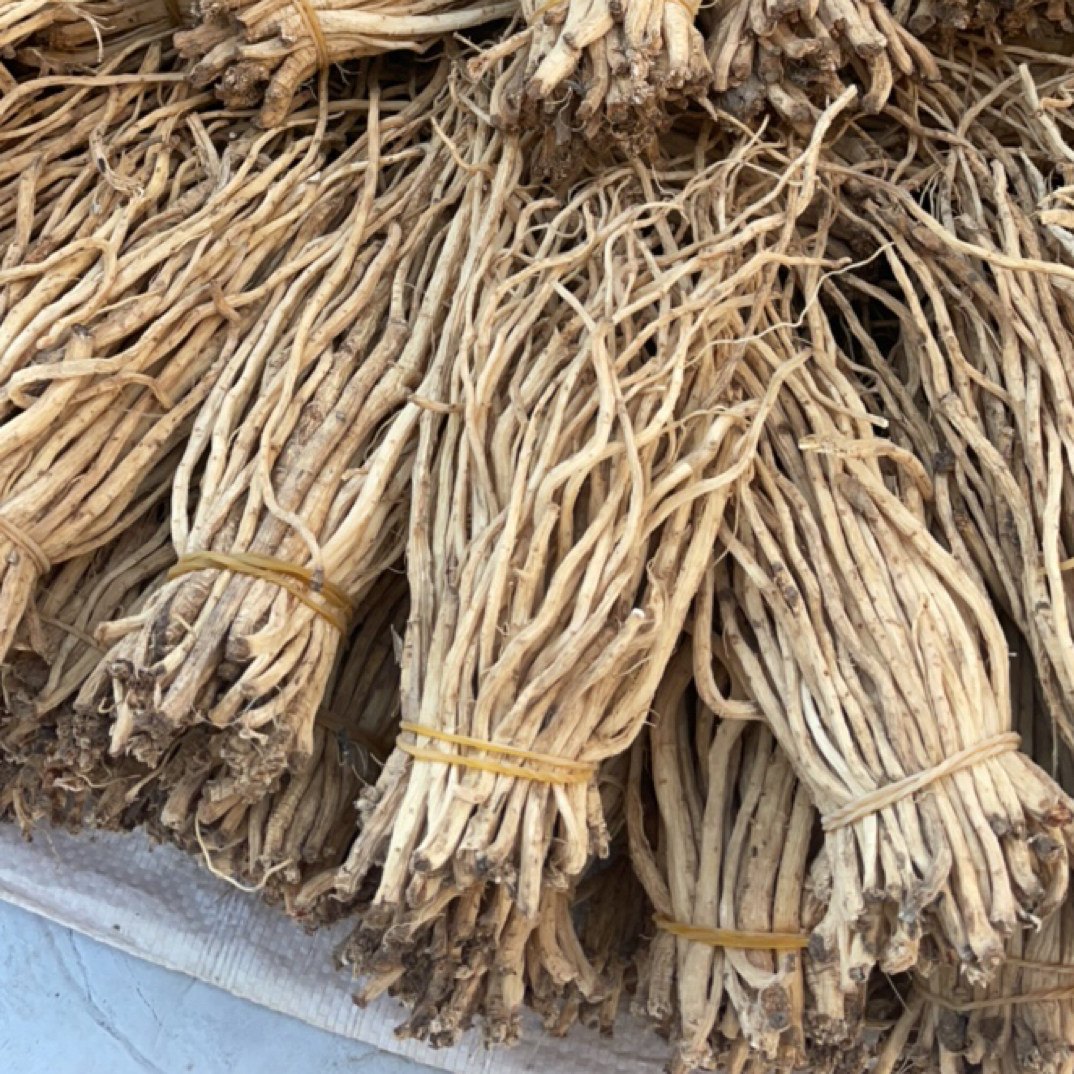 甘肃岷县新货党参须可打粉泡水煲汤产地直发