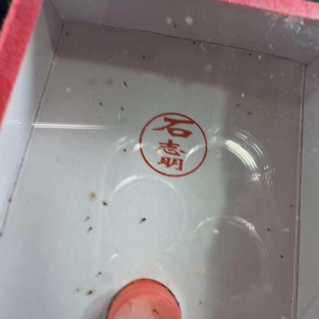 杏***仁蟋蟀一只石老师冬黄